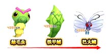 口袋妖怪3D铁甲蛹进化 巴大蝴进化所需材料