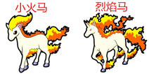 口袋妖怪3D小火马进化 小火马进化所需材料