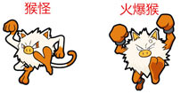 口袋妖怪3D猴怪进化 猴怪进化所需材料