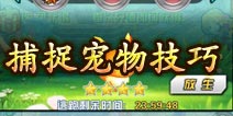口袋妖怪3D捕捉宠物技巧介绍