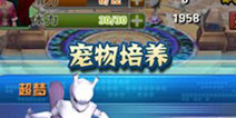 口袋妖怪3D培养系统介绍