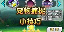 口袋妖怪3D宠物捕捉小技巧