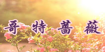 暖暖环游世界哥特蔷薇攻略