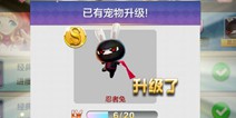 天天风之旅再多得到一只忍者兔会怎么样？