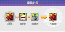 天天风之旅宠物升星怎么用 宠物如何升星