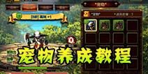 疾风之刃手机版宠物怎么养成 养成大全
