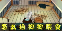 我的寄宿狗屋给狗狗喂食攻略 怎么给狗狗喂食