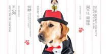 芒果台《神犬小七》热播中 同名手游即将上线