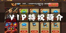 全民斗战神VIP特权介绍 V特权福利一览