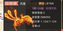 大话西游手游120级58W亲密凤凰出炉