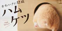 好多的小屁屁！《仓鼠屁屁大师》双平台上架
