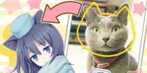 猫耳萌娘一把抓《莉莉娅的好朋友们》11月下旬上架