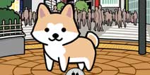 感人至深「忠犬八公」授权改编《我的小八》双平台上架