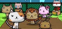 播下了种子，长出了猫咪?《猫畑》正式登场