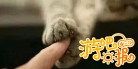 游吧日报：艺术，就是这么信手拈来