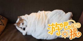 游吧日报：这厮，谁又给放出来了