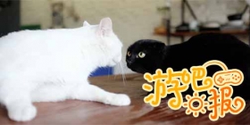 游吧日报：惊喜，每天都在发生
