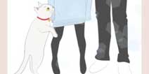 我和猫咪的同居生活！《猫的报恩》12月上架