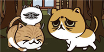 《忙碌猫咪店》iOS版上线：两脚兽还不速速给朕请安