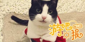游吧日报：卖萌，天生就会