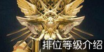 虚荣排位等级介绍 排位等级是什么
