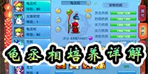 仙语宠物龟丞相怎么样 龟丞相培养详解