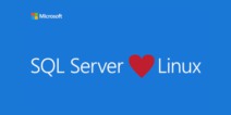 摒弃过去恩怨 微软将推出Linux数据库