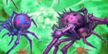 3.28新卡:织网蛛法术版 炉石传说猎人新法术滋生亮相