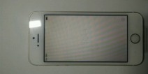 又一波退货潮 苹果iPhone SE身陷黄屏门