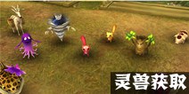倩女幽魂手游灵兽元神获取 灵兽怎么得