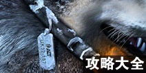 生命线冰天穴地剧情攻略详解 Lifeline:Whiteout通关攻略图解