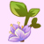 小花仙紫色樱花 紫色樱花花种