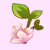 小花仙樱花 樱花花种