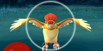 精灵宝可梦go稀有精灵怎么抓 pokemon go稀有精灵捕捉方法