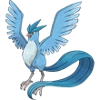 精灵宝可梦GO急冻鸟好不好 pokemonGO急冻鸟哪里抓
