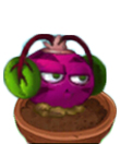 植物大战僵尸2魔音甜菜技能图鉴 摇滚年代新植物魔音甜菜