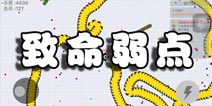 贪吃蛇大作战怎么保护你的致命弱点 你的弱点在哪里
