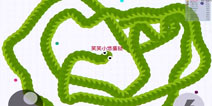 贪吃蛇大作战高分截图第16期：蛋挞重返限时模式