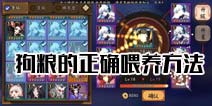 阴阳师狗粮怎么喂 论狗粮的正确喂养方法