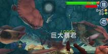 饥饿鲨：进化大螃蟹没有弱点怎么办 应对方法解析