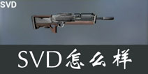 据点守卫放逐游戏SVD怎么样 SVD狙击枪好不好用