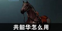 一梦江湖共韶华怎么用