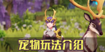 我的起源宠物玩法介绍，不会打架的宝宝可不是好坐骑！