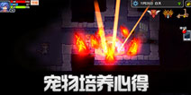 伊洛纳宠物培养心得 伊洛纳手游宠物培养技巧