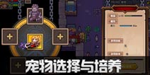 伊洛纳宠物流必看攻略：宠物选择与培养详解