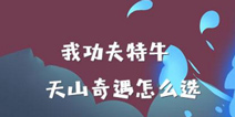 我功夫特牛天山攻略，天山奇遇事件选择