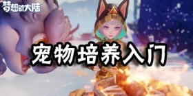 梦想新大陆宠物怎么获取 梦想新大陆宠物如何培养
