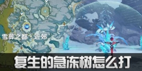 原神复生的急冻树怎么打 复生的急冻树打法攻略
