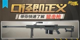 游拍一周精选--- 带你一起了解狙击枪的历史
