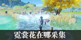 原神霓裳花在哪采集 霓裳花采集点大全